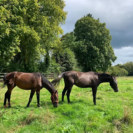 招待所 Aile Privee Au Sein D'un Haras