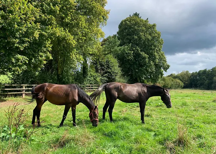 Guest house Aile Privee Au Sein D'un Haras